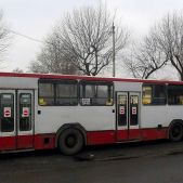 Jelcz M11 #2440