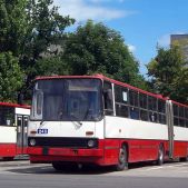 Ikarus 280.26 #245
