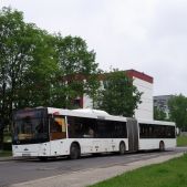 MAZ 205 #60