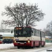 Ikarus 280.26 #170