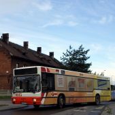 MAN NL202 #0815