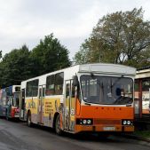 Jelcz M11 #SPI R780