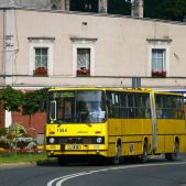 Ikarus 280.26 #1564