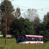 Solaris Urbino 15 #320