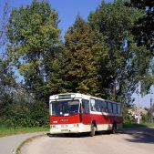 Jelcz M11 #2650