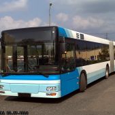 MAN NG313 #501
