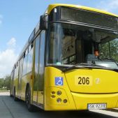 Jelcz M181MB #206