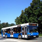 MAZ 103 #41