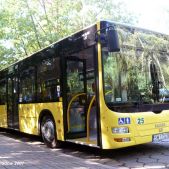 MAN NL273 #25