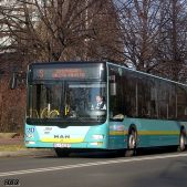 MAN NL313-15 #281
