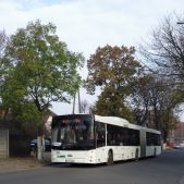 MAZ 205 #59