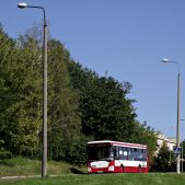Jelcz M121I #325