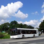 MAZ 203 #53