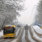 Solaris Urbino 15 #710