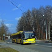 Solaris Urbino 15 #711