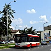 Solaris Urbino 12 #733