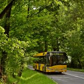 Solaris Urbino 15 #174