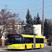 Soalris Urbino 18 #310