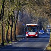 Jelcz M121I #361