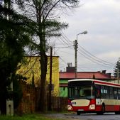 Jelcz M121I #323