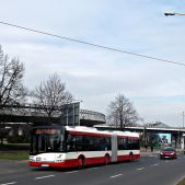 Solaris Urbino 18 #555