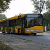 Solaris Urbino 18 #42