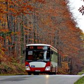 Jelcz M121I #357