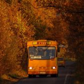 Jelcz L11 #SY 40653