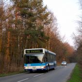MAN NL202 #0603