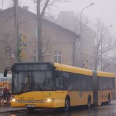 Solaris Urbino 18 #43