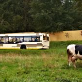 Neoplan N4014NF #11