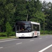 MAZ 206 #86
