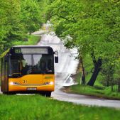 Solaris Urbino 15 #31