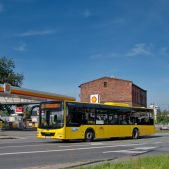 MAN NL283 Lion's City #800