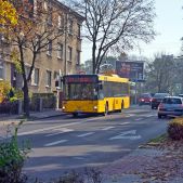MAN NL313 #336