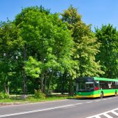 MAZ 203 #770