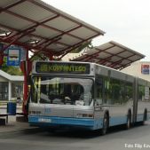 Neoplan N4021 #65