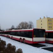 Solaris Urbino 15