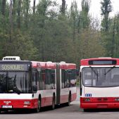 MAN NG313 #539 & Jelcz 120M #033