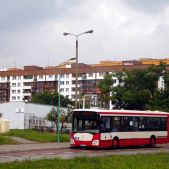 Jelcz M121I #313