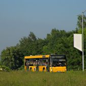 MAN NL223 #17