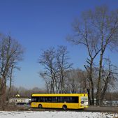 Solaris Urbino 12 #175