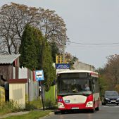Jelcz M121I #305