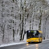 Solaris Urbino 12 #193