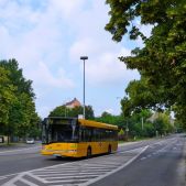 Solaris Urbino 12 #66
