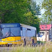 Solaris Urbino 12 #67