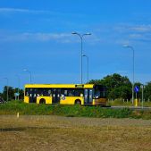 Solaris Urbino 12 #71