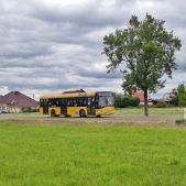 Solaris Urbino 12 #75