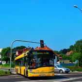 Solaris Urbino 15 #173