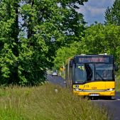 Solaris Urbino 18 #210